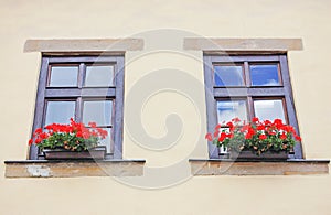 Windows with flowers on historic house