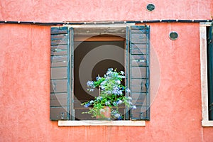 Windows with flowers in old house