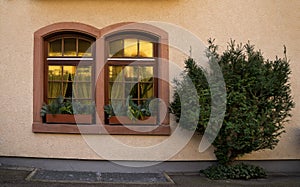 Windows with flowers Staufen im Breisgau Schwarzwald germany