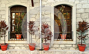 Windows and flowers with stone wall photo