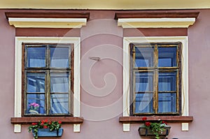 Windows with flowers