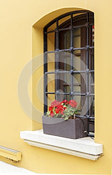 Windows with fresh red flowers.