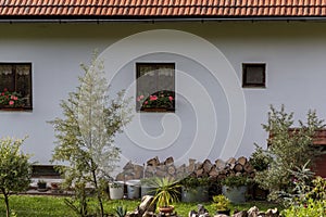 Windows with geraniums on a white house, underneath the wood