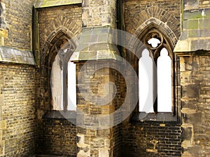 Windows of gothic cathedral