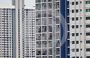 Windows  of the high building