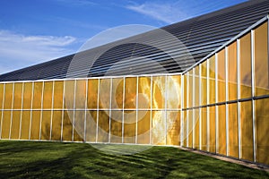 Windows of IIT building