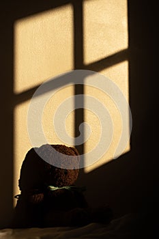 Windows light shadows teddy toy bear