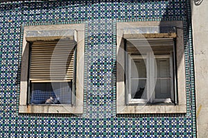 Windows of Lisbon. One window one cat. photo