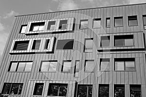 Windows of a modern building in black and white