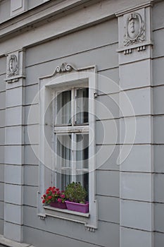 Windows on the old villa