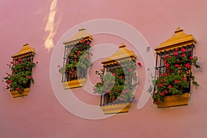 Windows on a pink wall in Ronda, Spain