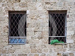 Windows with plants in Jaffa, Israel