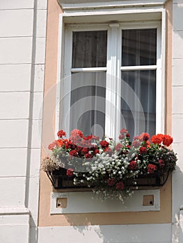 Windows with pot and bright flowers of old house in Karlovy Vary, Czech Republic