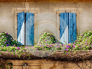 Windows Of Provence In Arles