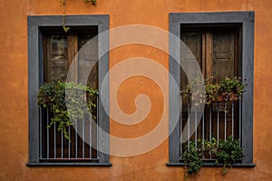 Windows of a renovated house in Santu Lussurgiu, Sardinia photo