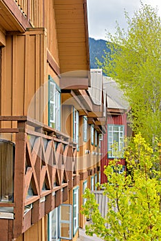 Windows and roofs of residential townhouses with growing-out trees on side