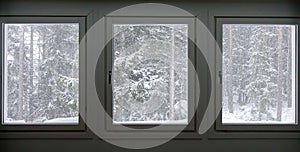 Windows with a snow storm outside.