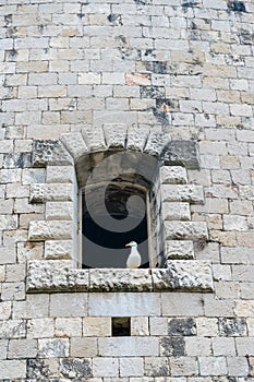 Windows in the stone walls of the fortress Mamula.