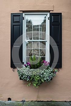 windows and window boxes planters displays adornments enhance architecture photo