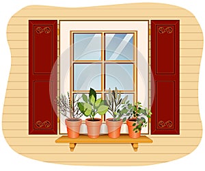 Windowsill Herb Garden