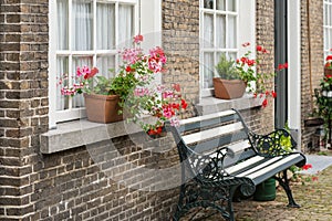 Windowsill with pink and red flowering Pelargonium plants