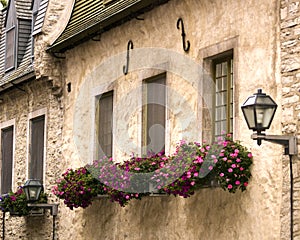 Windowsills in Old Quebec