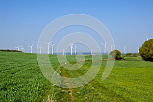 Windpark in the green fields