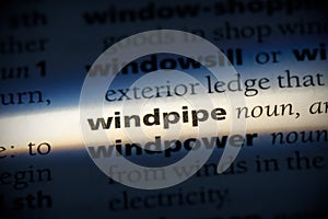 Windpipe