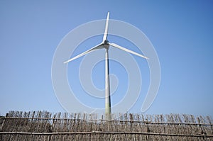 Windpower