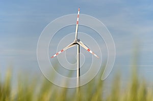 Windpower station in a cornfield photo