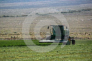 Windrower Cutting Alfalfa 2