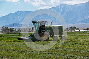 Windrower with Rotary Head Cutter