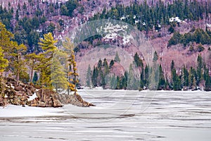 Windsept trees on a rocky island in the middle of a frozen lake