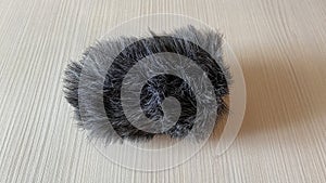 Windshield for microphone