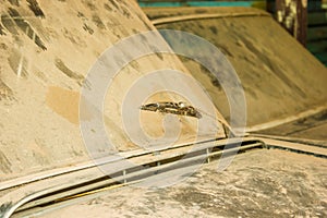 Windshield on an old rusty