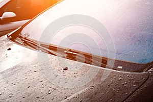 Windshield wipers of a gray car with drops after raining in rays