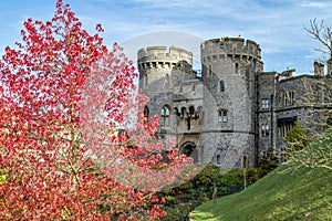 Windsor castle