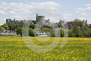 Windsor Castle and Buttercup Meadow photo