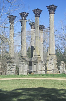 Windsor Ruins are the ruins of the largest antebellum Greek Revival mansion built in the US state of Mississippi, Claiborne County photo