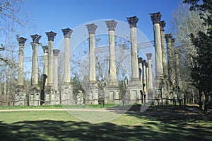 Windsor Ruins are the ruins of the largest antebellum Greek Revival mansion built in the US state of Mississippi, Claiborne County photo