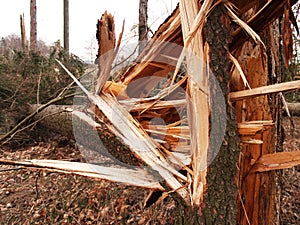 Windstorm damage