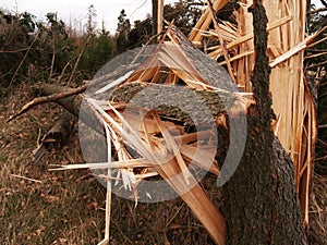 Windstorm damage