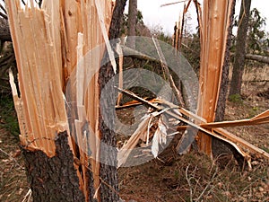 Windstorm damage