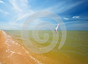 Windsurf sail on the sea photo