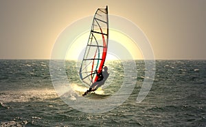 Windsurfer
