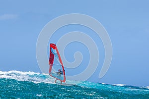 Windsurfer