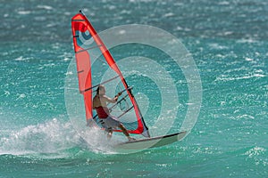 Windsurfer