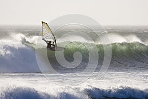 Windsurfer