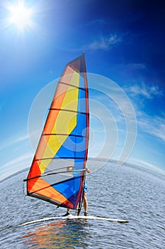 Windsurfer