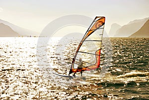 Windsurfer